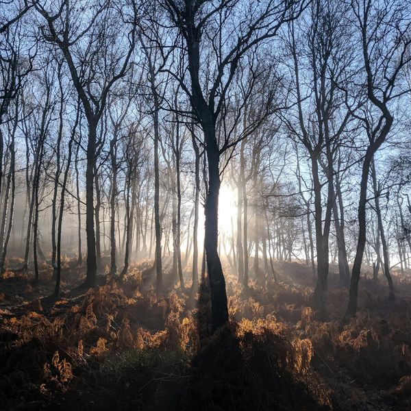 Silhouette of a man stretching against a sunrise, symbolizing energy.
